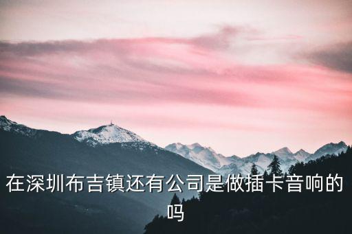 深圳音響布，在深圳布吉鎮(zhèn)還有公司是做插卡音響的嗎