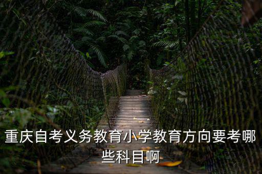 重慶自考義務教育小學教育方向要考哪些科目啊