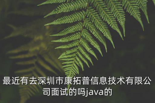 最近有去深圳市康拓普信息技術(shù)有限公司面試的嗎java的
