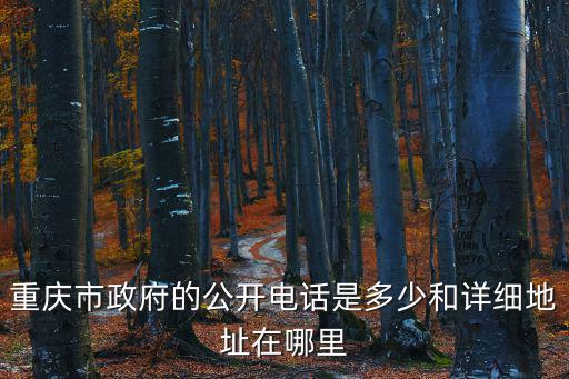 重慶市渝中區政府聯系電話，重慶市市政府和人大在哪里具體位置