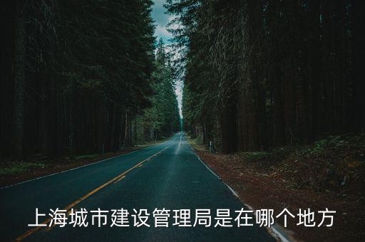 上海市  城市設(shè)計(jì) 管理，上海城市管理職業(yè)技術(shù)學(xué)院