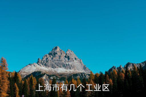 上海市有幾個工業(yè)區(qū)
