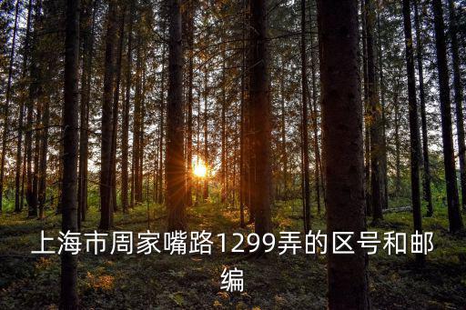 上海市周家嘴路1299弄的區號和郵編