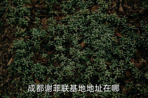 成都謝菲聯(lián)基地地址在哪