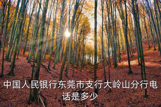 東莞大嶺山人民網，東莞市大嶺山鎮