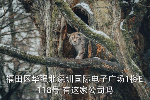 福田區華強北深圳國際電子廣場1樓E118號 有這家公司嗎