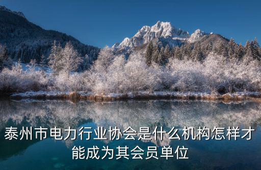 泰州市電力行業協會是什么機構怎樣才能成為其會員單位