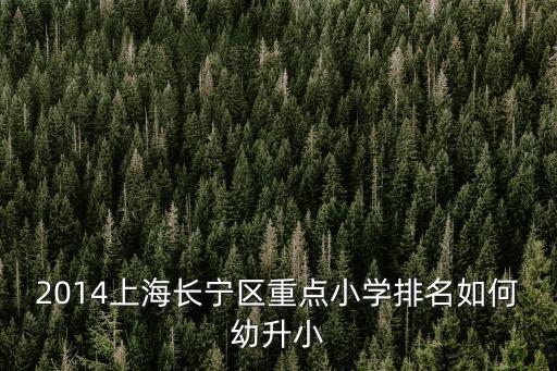 上海市長寧實(shí)驗(yàn)小學(xué)怎么樣，上海市長寧區(qū)實(shí)驗(yàn)小學(xué)與江蘇路第五小學(xué)哪個(gè)好