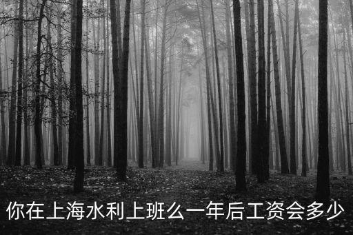 上海市水利院待遇，你在上海水利上班么一年后工資會多少