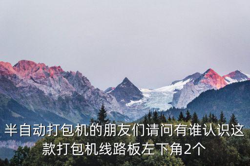 半自動打包機的朋友們請問有誰認識這款打包機線路板左下角2個