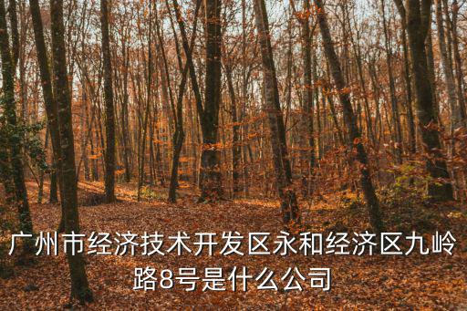 廣州市經濟技術開發區永和經濟區九嶺路8號是什么公司