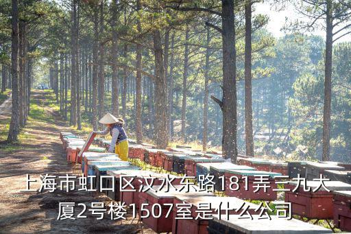 上海市虹口區汶水東路181弄三九大廈2號樓1507室是什么公司