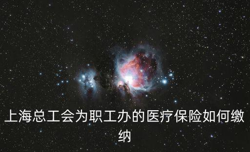 上?？偣槁毠まk的醫療保險如何繳納