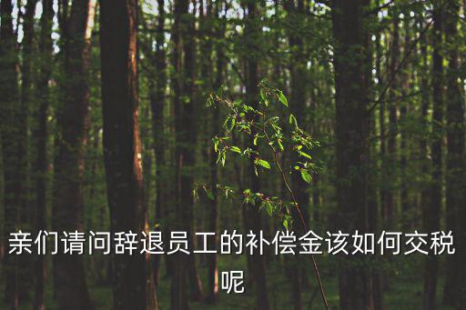 親們請問辭退員工的補償金該如何交稅呢