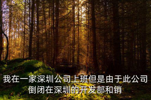 我在一家深圳公司上班但是由于此公司倒閉在深圳的開發部和銷