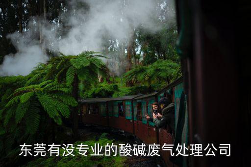 東莞有沒(méi)專(zhuān)業(yè)的酸堿廢氣處理公司
