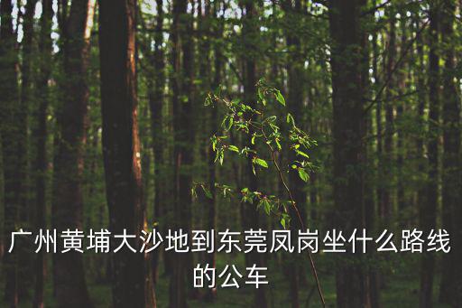 廣州黃埔大沙地到東莞鳳崗坐什么路線的公車