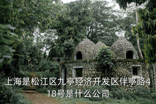 上海是松江區(qū)九亭經(jīng)濟開發(fā)區(qū)伴亭路418號是什么公司