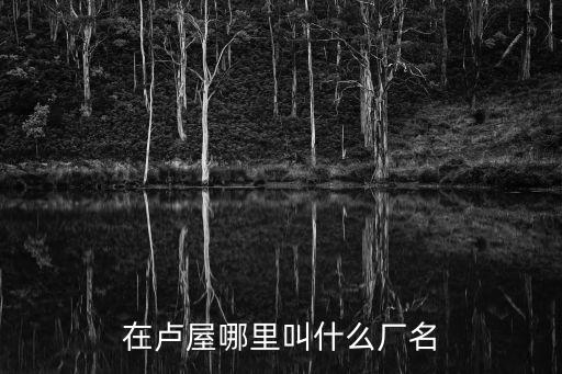 在盧屋哪里叫什么廠名