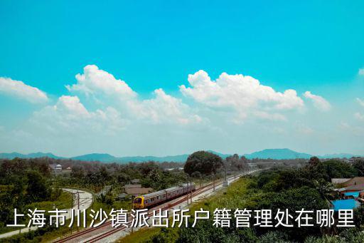 上海市川沙法庭，上海市川沙鎮派出所戶籍管理處在哪里