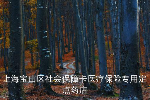 上海市寶山區社保卡，上海寶山區社保卡在哪里補辦