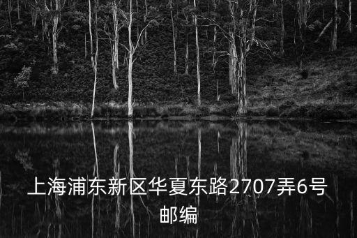 上海浦東新區(qū)華夏東路2707弄6號(hào)郵編