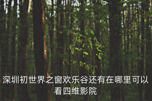 深圳初世界之窗歡樂谷還有在哪里可以看四維影院