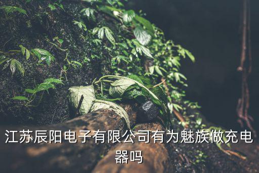 江蘇辰陽電子有限公司有為魅族做充電器嗎