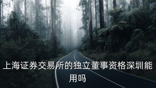 上海證券交易所的獨立董事資格深圳能用嗎