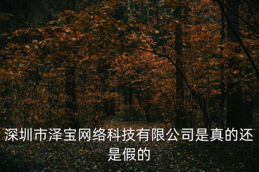 深圳市澤寶網絡科技有限公司是真的還是假的