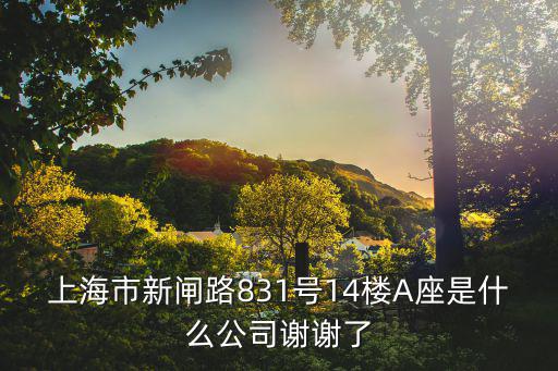 上海市新閘路831號14樓A座是什么公司謝謝了