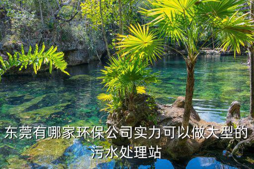 東莞有哪家環(huán)保公司實力可以做大型的污水處理站