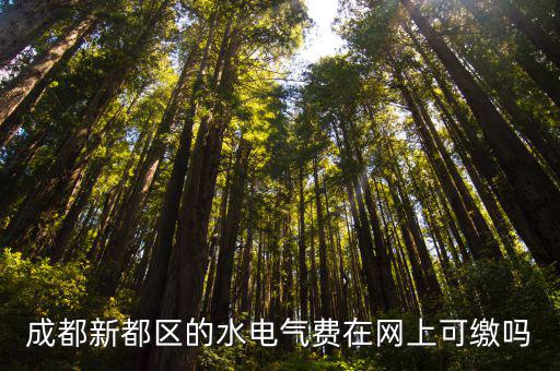 成都新都區(qū)的水電氣費(fèi)在網(wǎng)上可繳嗎