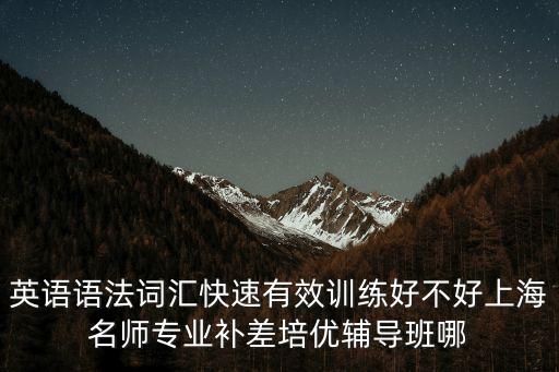 英語語法詞匯快速有效訓練好不好上海名師專業(yè)補差培優(yōu)輔導班哪