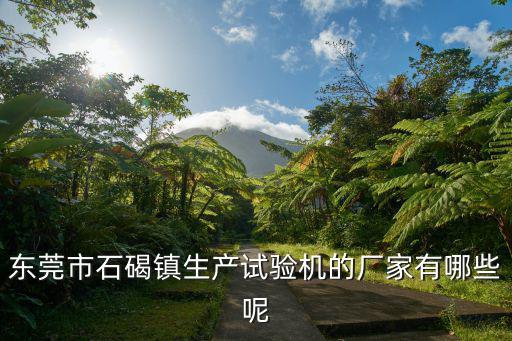 東莞市東芯儀器科技有限公司，東莞市石碣鎮(zhèn)生產(chǎn)試驗機的廠家有哪些呢