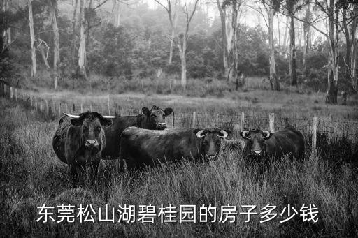 東莞松山湖碧桂園的房子多少錢