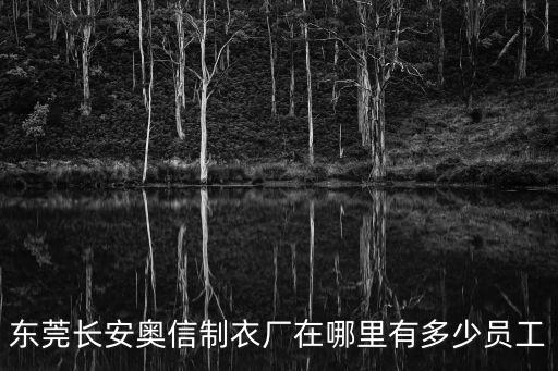 東莞長安奧信制衣廠在哪里有多少員工