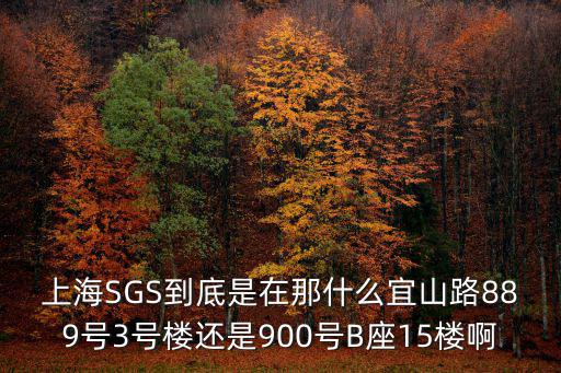 上海市sgs檢測(cè)中心，上海SGS到底是在宜山路889號(hào)3號(hào)樓還是900號(hào)B座15樓啊