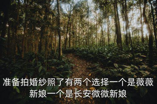 準(zhǔn)備拍婚紗照了有兩個選擇一個是薇薇新娘一個是長安微微新娘