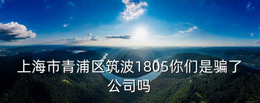 上海市青浦區(qū)筑波1805你們是騙了公司嗎