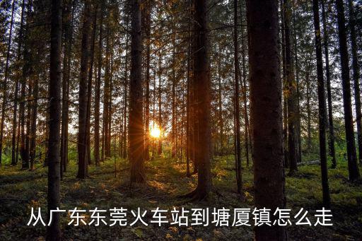 從廣東東莞火車站到塘廈鎮(zhèn)怎么走