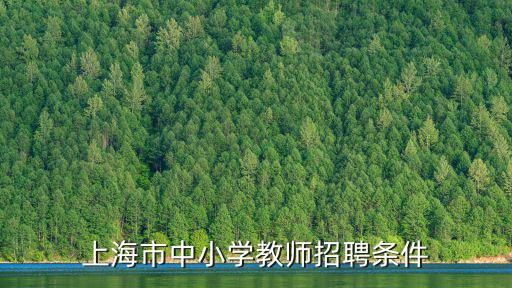 上海市中小學教師招聘條件