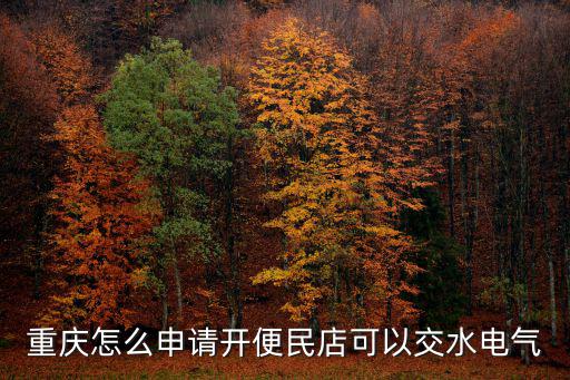 重慶怎么申請開便民店可以交水電氣