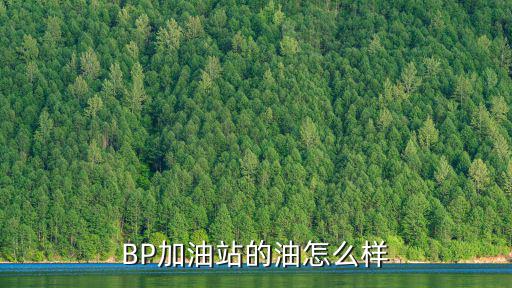 深圳龍崗區(qū)中心城bp加油站，龍崗中心城鹽龍大道早晚高峰期限外地車牌嗎謝謝  搜