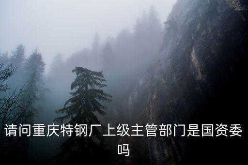 請問重慶特鋼廠上級主管部門是國資委嗎