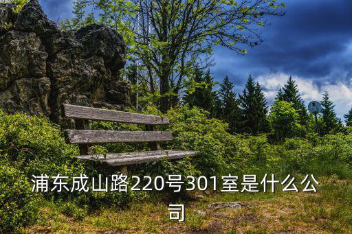 浦東成山路220號301室是什么公司