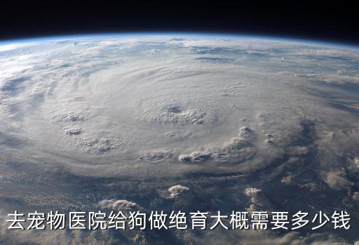 去寵物醫(yī)院給狗做絕育大概需要多少錢