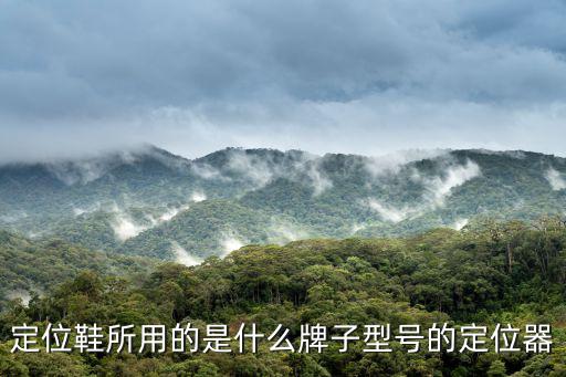 定位鞋所用的是什么牌子型號(hào)的定位器