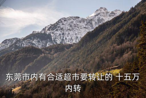 東莞市內(nèi)有合適超市要轉(zhuǎn)讓的 十五萬(wàn)內(nèi)轉(zhuǎn)