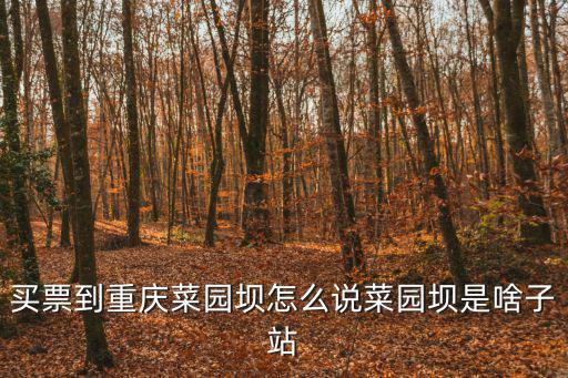 重慶市菜園壩政府棚戶改造，買票到重慶菜園壩怎么說菜園壩是啥子站